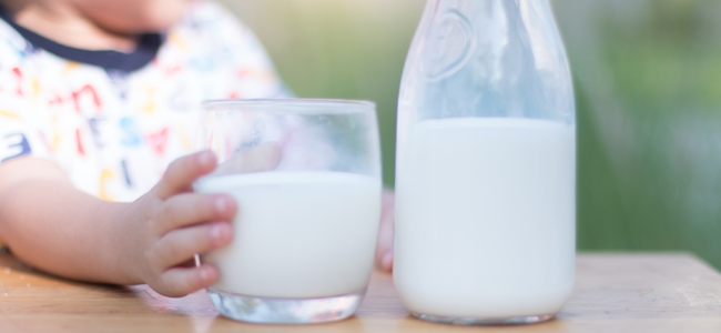 Leche líquida para niños/as caja plástica 15 kg